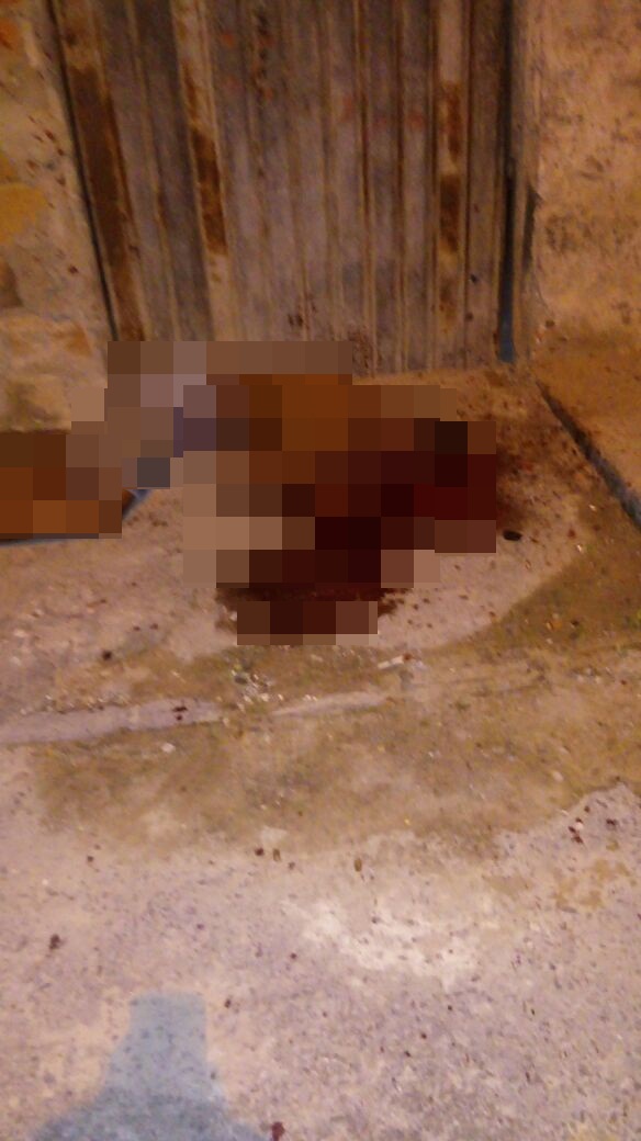 CANDEIAS: ADOLESCENTE DE 17 ANOS É MORTO A TIROS NO BAIRRO SANTO ANTÔNIO