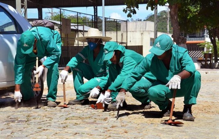 SÃO F. DO CONDE: CAMPINAS RECEBE AÇÕES DO MUTIRÃO DE LIMPEZA NESTA SEXTA