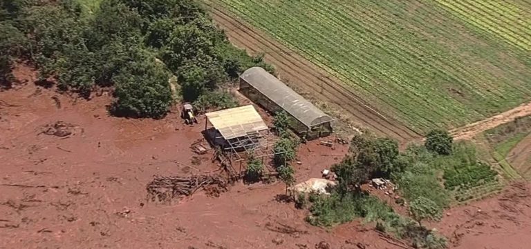 Número de mortos em desastre de Brumadinho chega a 212