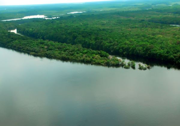 EUA vão anunciar US$ 500 milhões para Fundo Amazônia nos próximos 5 anos