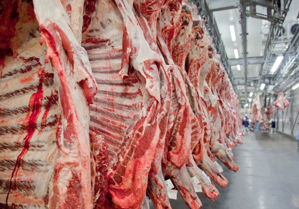 Rússia retira restrições de importação de carne bovina brasileira