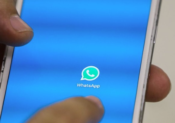 No WhatsApp, Disque 100 irá receber denúncia de ataque a escolas