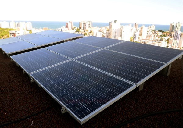 Beneficiados pelo programa IPTU Verde crescem 80% em 2023