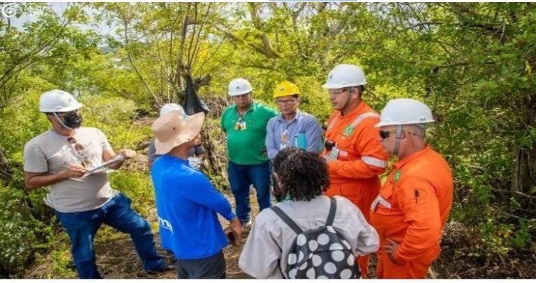 Madre de Deus: Técnicos do meio Ambiente da prefeitura e do Inema visitam local  de vazamento de óleo no manguezal