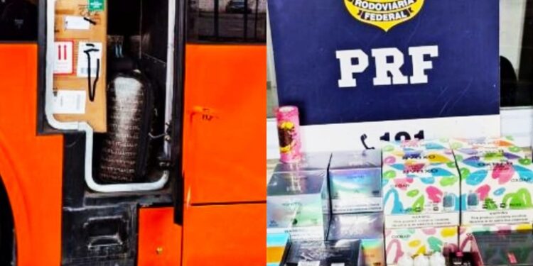 Carga de produtos contrabandeados e proibidos é apreendida na Bahia