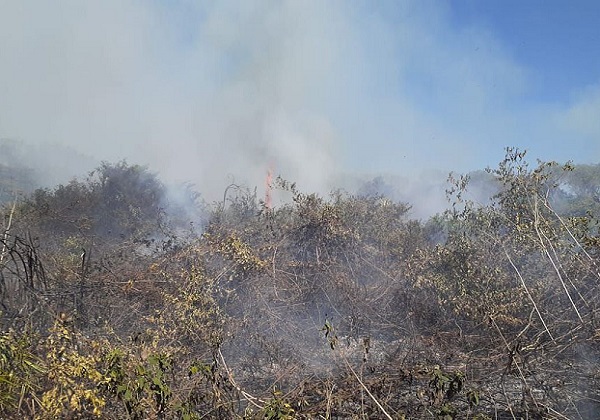 Classificado como pior desastre do tipo nos EUA em um século, incêndios no Havaí deixam 93 mortos