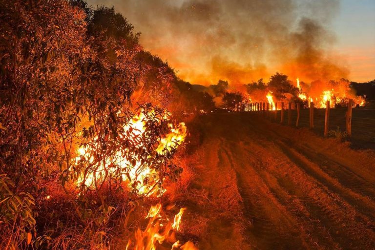 Pantanal tem mais de 3 mil incêndios em novembro; recorde histórico