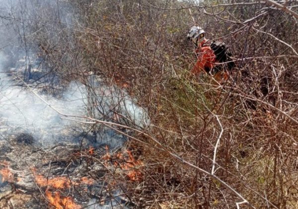Governo envia bombeiros e aeronaves para combater incêndio no Parque do Monte Pascoal