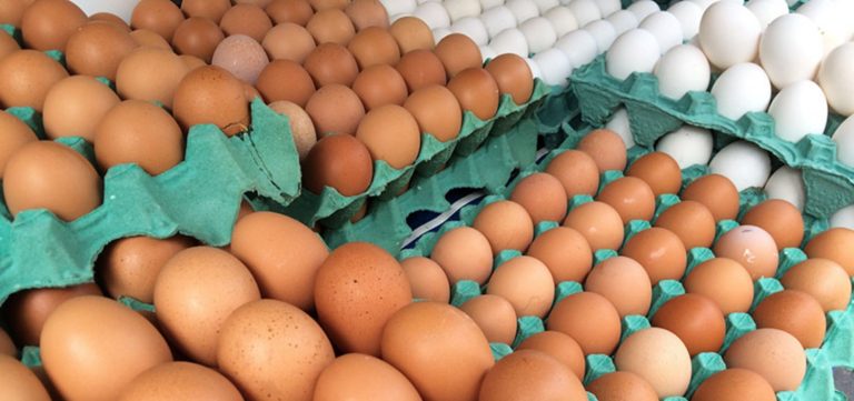 Brasileiros estão consumindo mais ovos após queda no preço da proteína