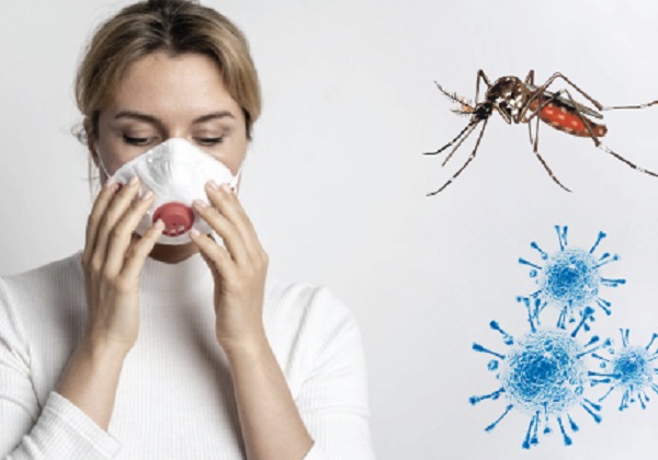 Brasil bate recorde de mortes por dengue em 2023