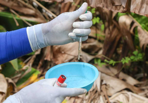 El Niño e altas temperaturas favorecem aumento de casos de dengue