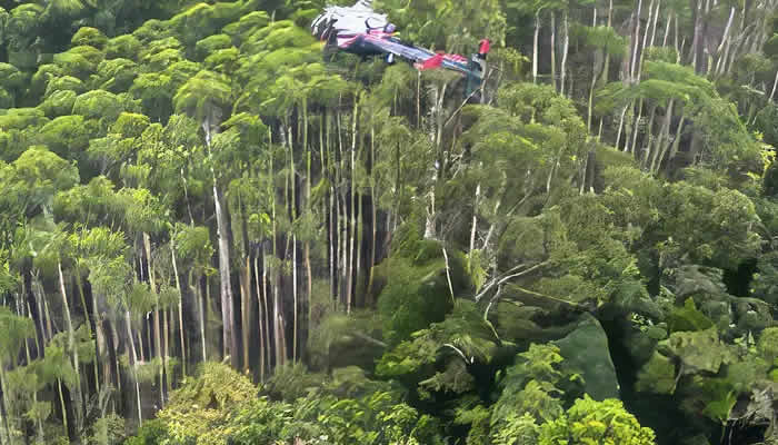 Corpos de ocupantes de helicóptero são encontrados junto aos destroços
