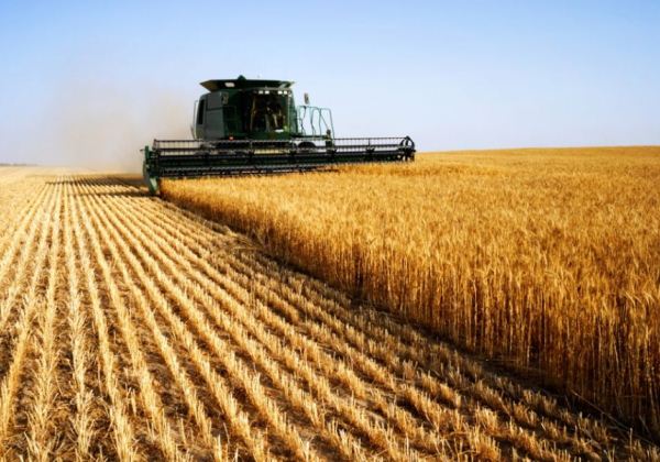 PIB fecha 2023 com alta de 2,9% no Brasil, aponta IBGE