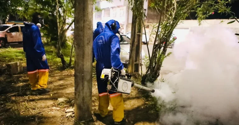 Bahia chega a 21 mortes por dengue em 2024