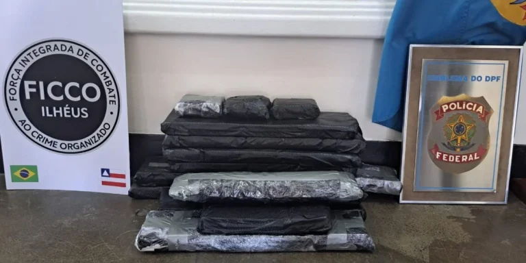 Casal em navio cruzeiro é preso com 28 kg de cocaína no interior baiano