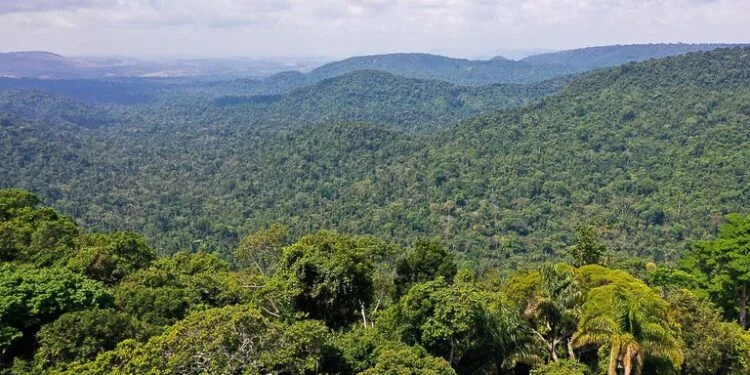 STF suspende reintegração em área de comunidade tradicional na Bahia