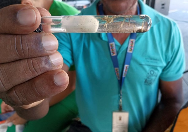Mortes por dengue passam de 2 mil desde o início do ano