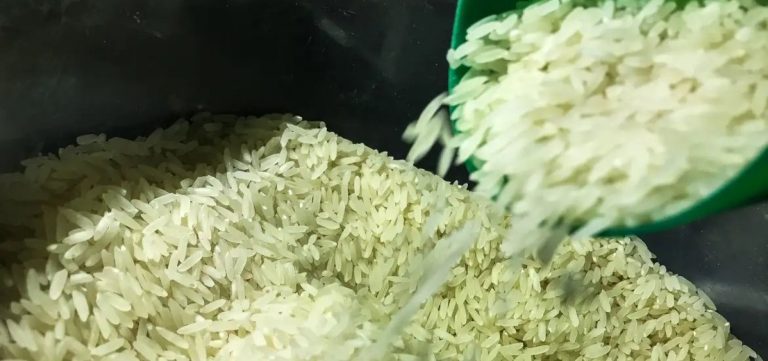 Entidade vai ao STF contra a importação de arroz