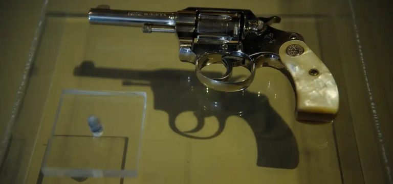 Cerca de 100 armas são furtadas em loja de armamentos no DF