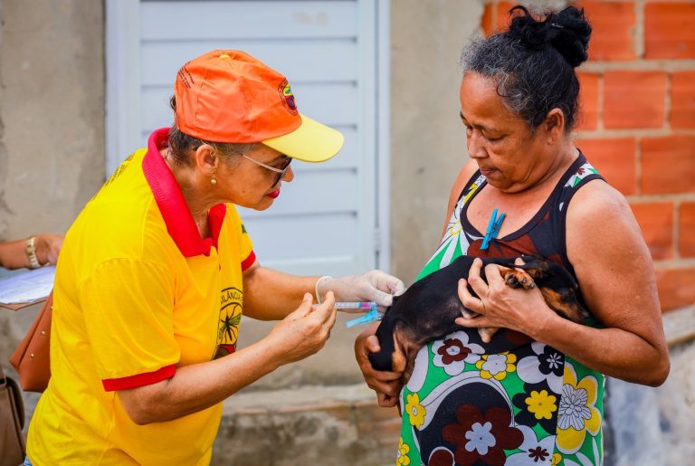 Campanha de vacinação antirrábica imuniza mais de 500 animais em Candeias