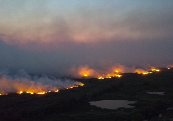 Recorde de incêndios no Pantanal expõe falhas na prevenção do governo Lula