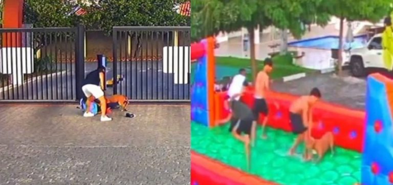 Pit bull ataca cinco pessoas em festa de condomínio em Feira de Santana