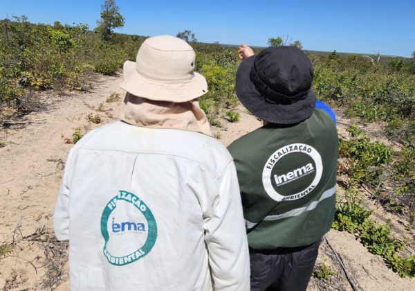 Desmatamento no cerrado é reduzido em 52,4% no estado