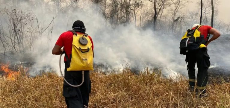 Incêndio na Floresta Nacional de Brasília é controlado