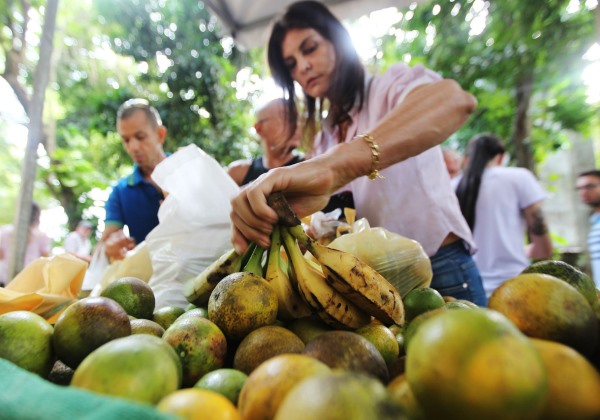 Mudanças climáticas podem aumentar preços de alimentos ainda em 2024