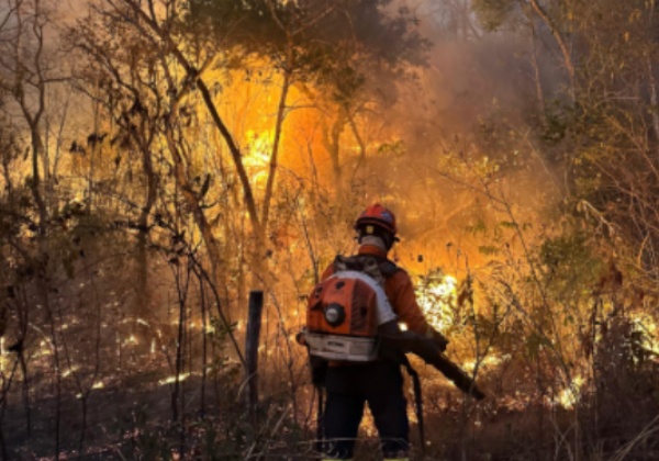 Marina Silva pede apoio das Forças Armadas para combate a incêndios na Amazônia