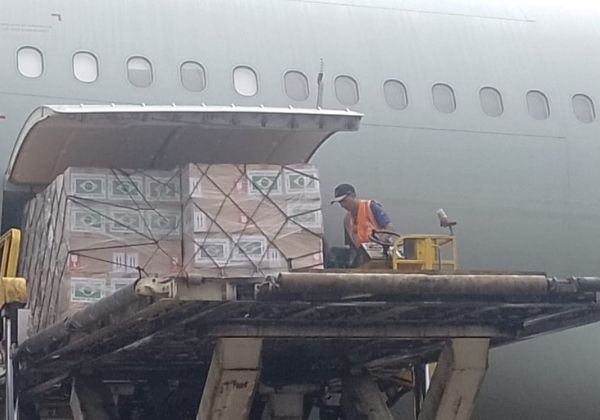 Brasil envia mais 16,8 toneladas de donativos para brasileiros no Líbano