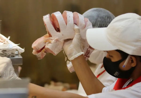 EUA diminuem burocracia para comprar pescados brasileiros