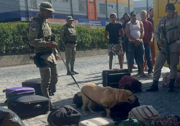 Operação apreende drogas em ônibus no Terminal Rodoviário de Itabuna