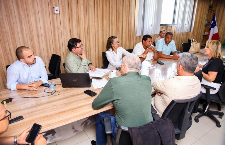 Reforma à Lei Orgânica do Município é debatida em audiência pública realizada na Câmara Municipal