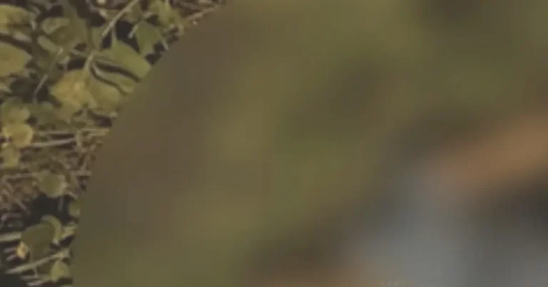 Homem é encontrado morto em Paripe; DHPP investiga o caso