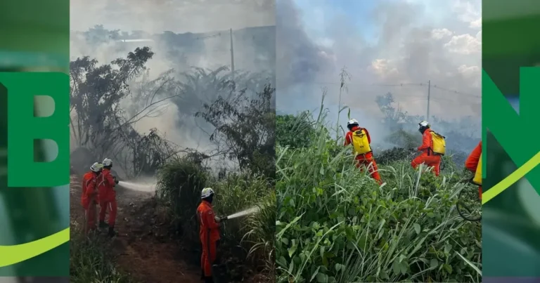 Bombeiros combatem incêndio em vegetação no anel viário da BR-242 em Barreiras