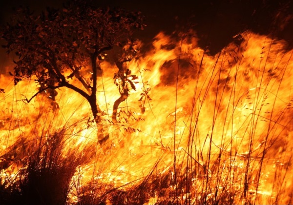 Incêndios florestais deixam ao menos 24 mortos na Coreia do Sul