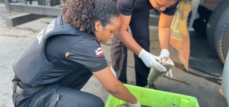 Operação prende dois homens e apreende produtos impróprios em feiras de Salvador