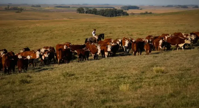Seca prolongada justifica prorrogação de pagamento de crédito rural