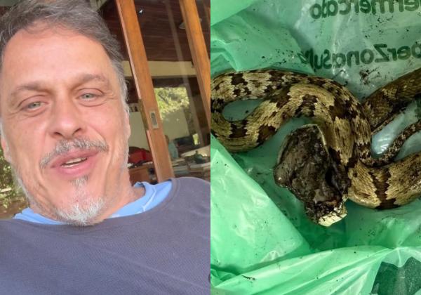 Ator Guilherme Fontes é picado por cobra e é hospitalizado