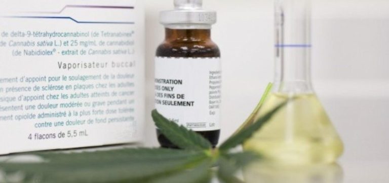 Bahia autoriza fornecimento gratuito de medicamentos à base de canabidiol