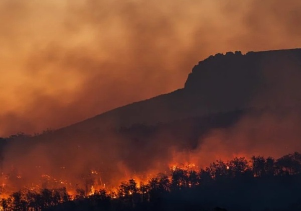 Incêndio florestal causa morte e deixa dezenas de feridos no sul da França