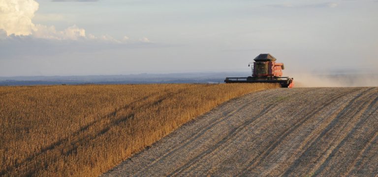 China reduz importação de soja dos EUA e reforça liderança do Brasil no mercado