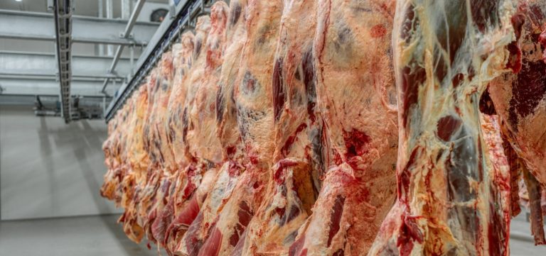 Mesmo com tarifaço, exportação de carne bovina do Brasil bate novo recorde em setembro