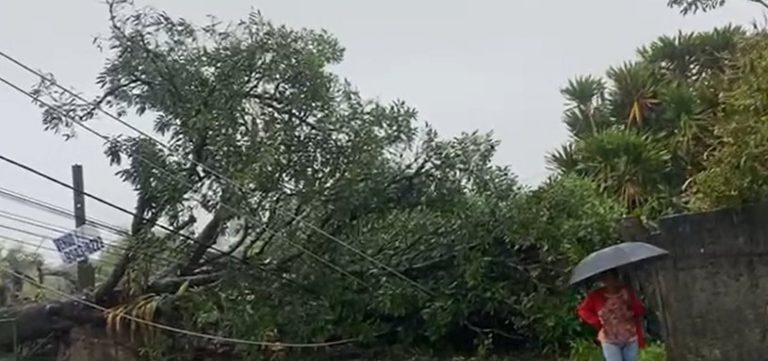 Temporal causa danos à rede elétrica e deixa bairros de Salvador sem energia