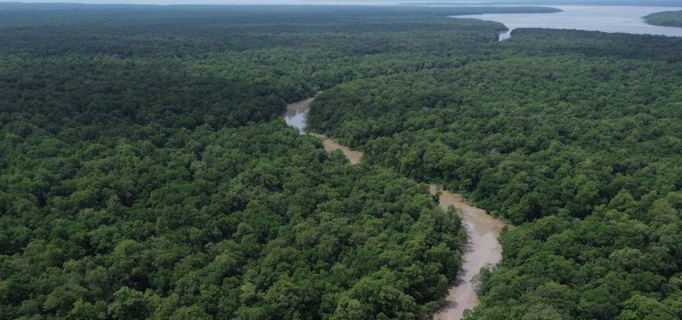 Suíça anuncia doação de R$ 33 milhões ao Fundo Amazônia