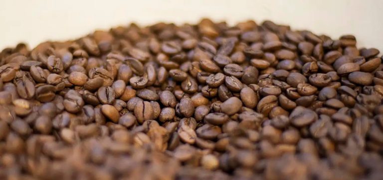 Mercado de café segue pressionado mesmo após suspensão de tarifas nos EUA