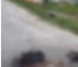 homem mata cinco cães e ameaça moradores em Candeias barbárie