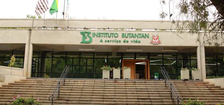 Butantan vai produzir medicamento contra câncer para o SUS