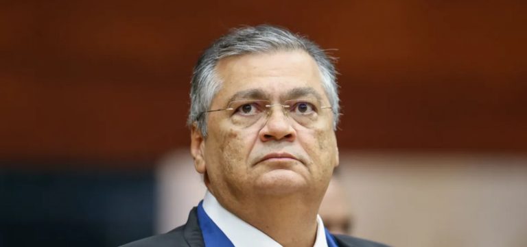 Dino cobra plano crime organizado na Amazônia e cita uso de GLO